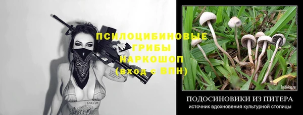 мдма Новодвинск