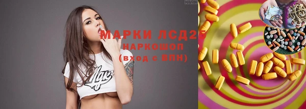 ECSTASY Новокубанск