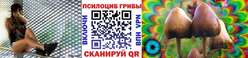 наркотики  Томари  Галлюциногенные грибы прущие грибы 
